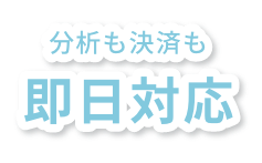 分析も決済も即日対応